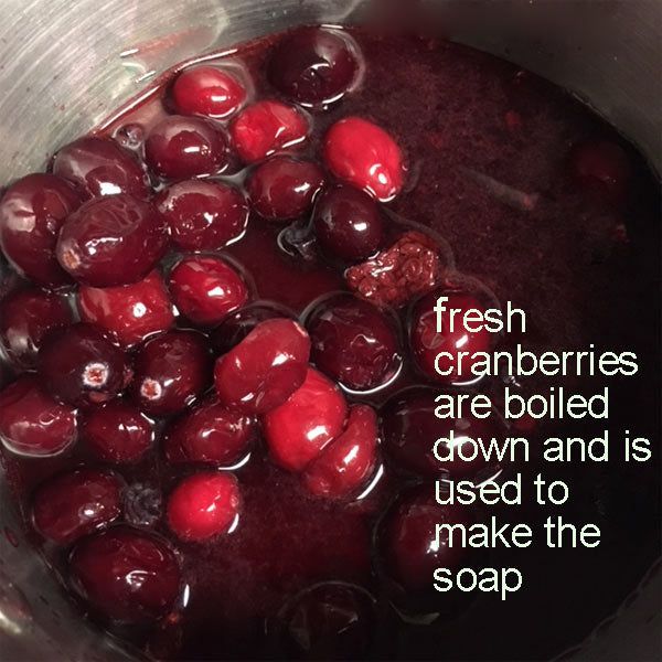 All natural soap, Atlantic Cranberry bar