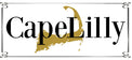 CapeLilly saltysoaps, scrubs and skincare - Home
